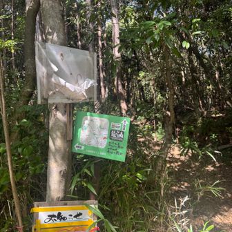 塔之岡道から初めて登ります！