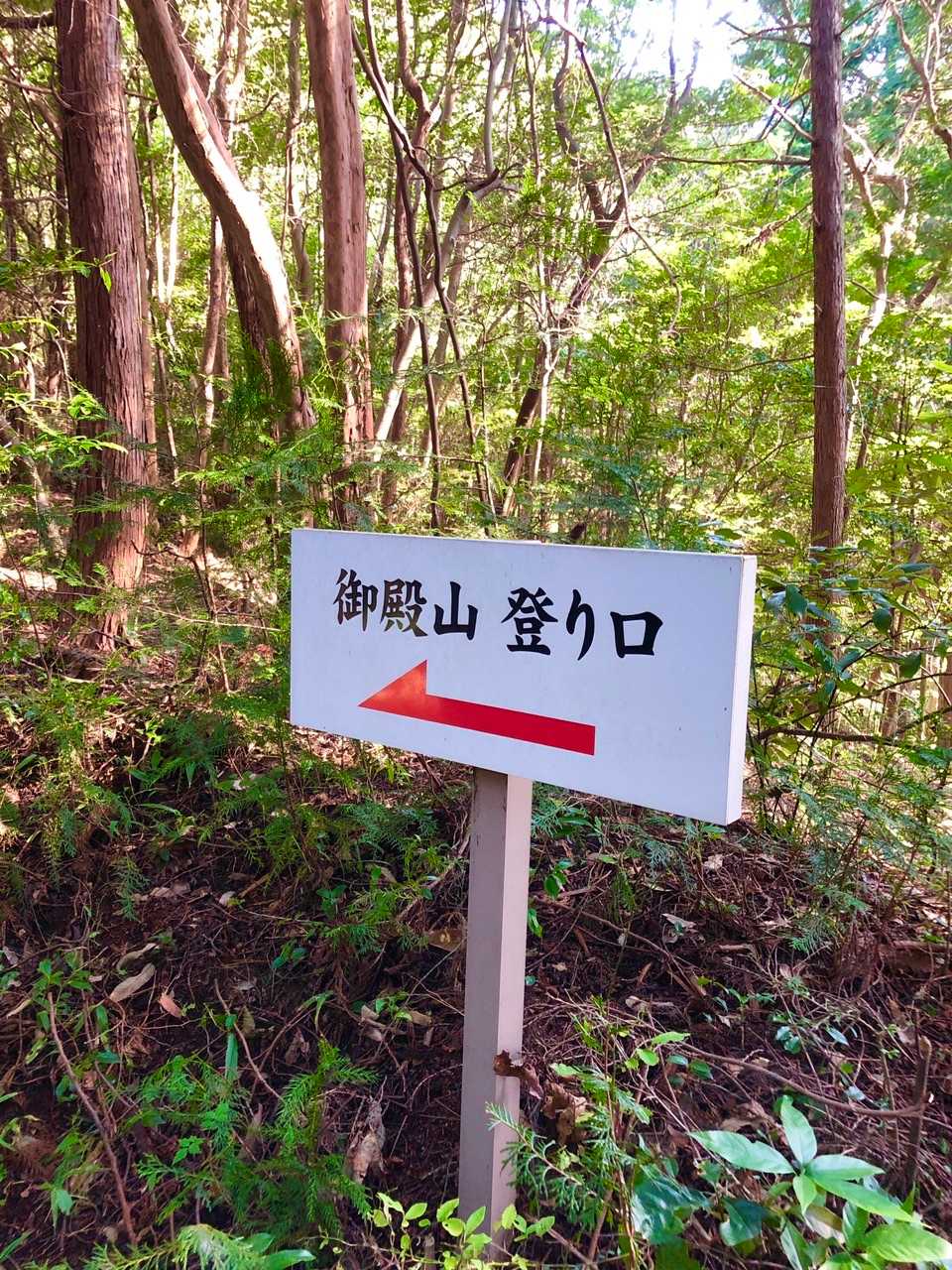 え？やっと登り口？と苦笑い