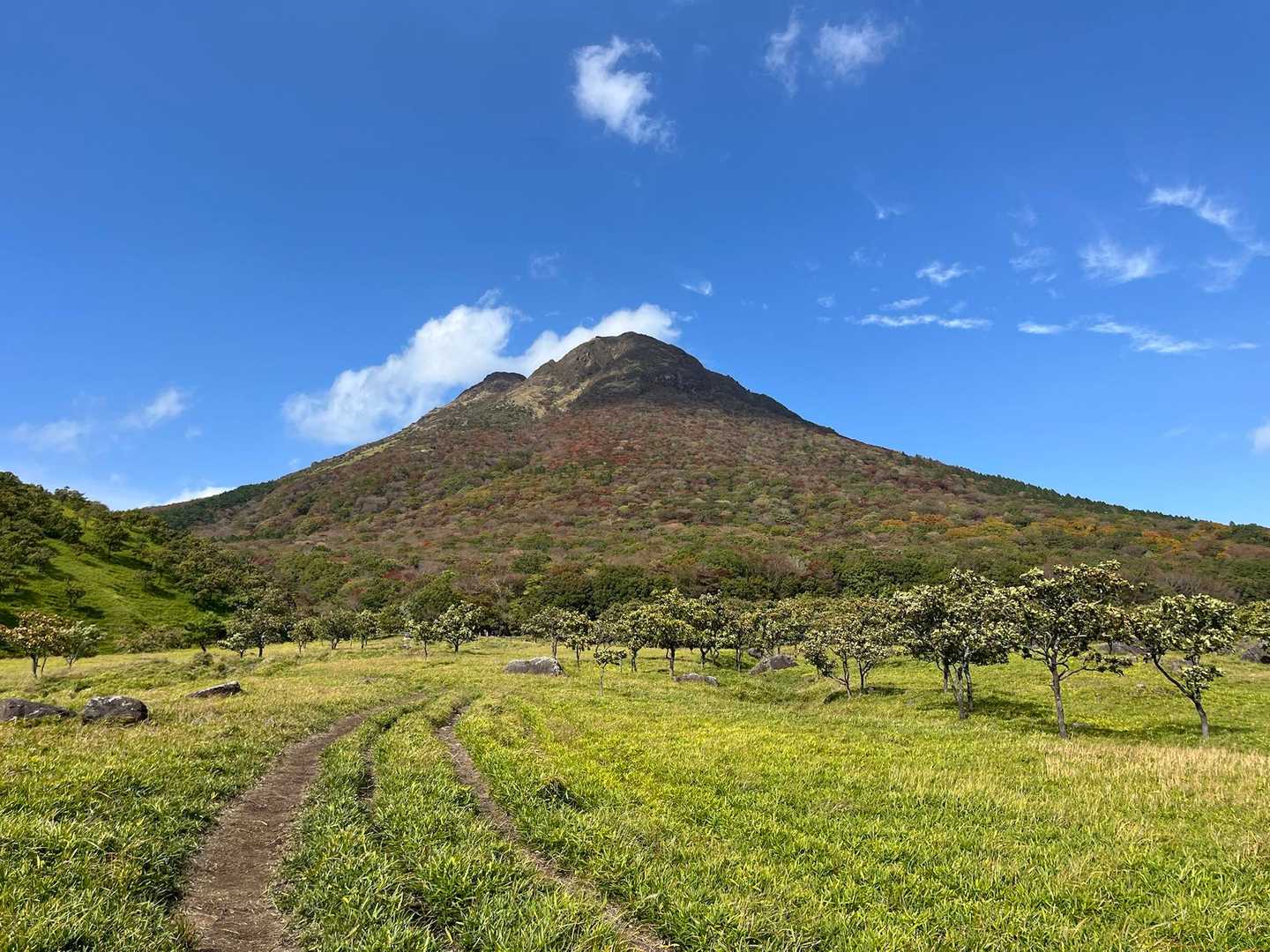 ◼️今回の表紙
青空💙と紅葉🍁した由布岳⛰️
本当に素晴らしい山ですね✨
ミヤマキリシマの季節も素晴らしいですが、紅葉🍁の季節も負けず劣らず素晴らしかったです☺️