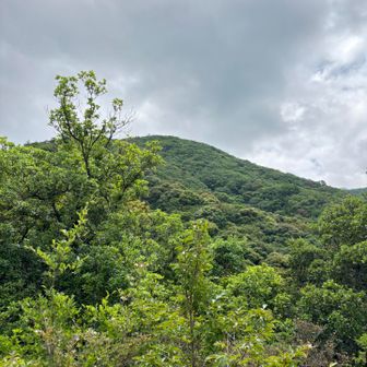 高尾山を望む