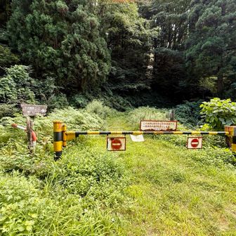 大沢尾根コース登山口駐車場に到着