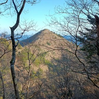 大棚ノ頭付近に来ました。近くに西丸がありますが時間が無いので行けませんでした。
