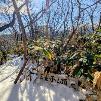 三童子山山頂❄️