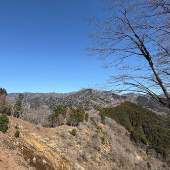 椿丸山頂から
背骨みたいな尾根が好き