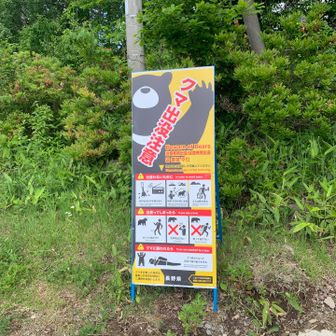 クマ出没注意⚠️