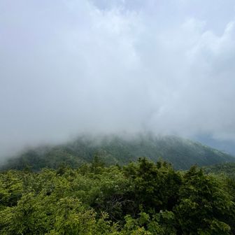 御嶽展望ポイントを山頂であった方におしえてもらったけど、現れてはくれませんでした😭