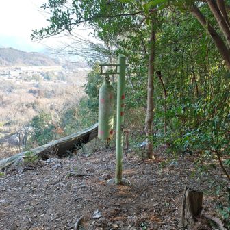 緑のラブレターを見おろす😅
ラブレターの上には鐘が設置されていました。