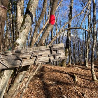 天子ヶ岳　登頂〜
よしっ❗️

周回もできそうだけど…🤔
実はさっきから…