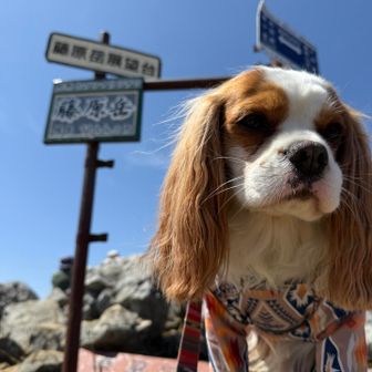 はっちユーザー