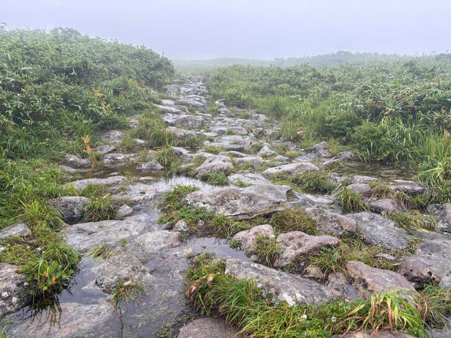 石の登山道がメインです
ガシガシ登っていく🪨