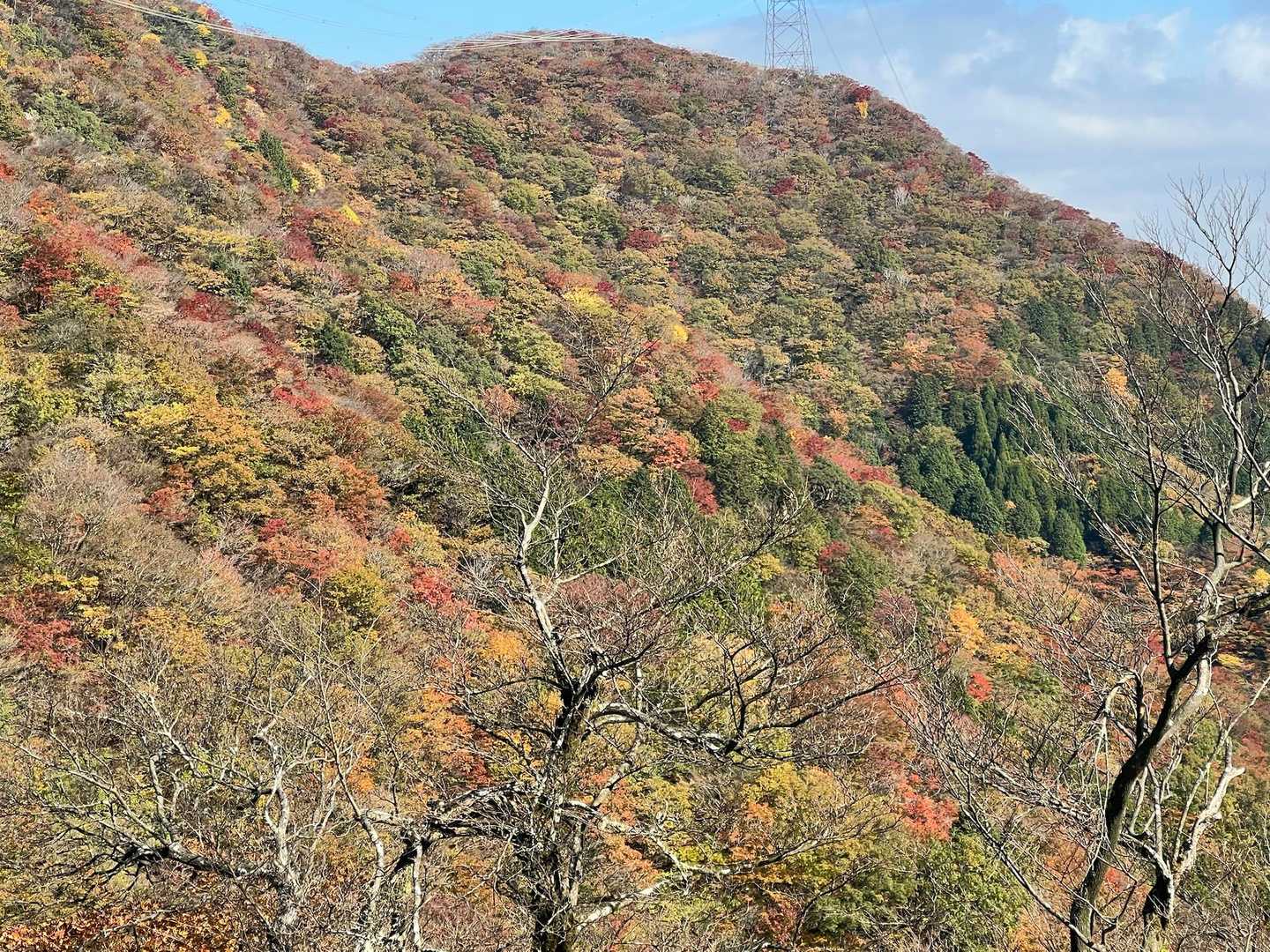 ❤️💚🧡
登山日和で気持ちいい日

もう少し紅葉楽しみたいな〜