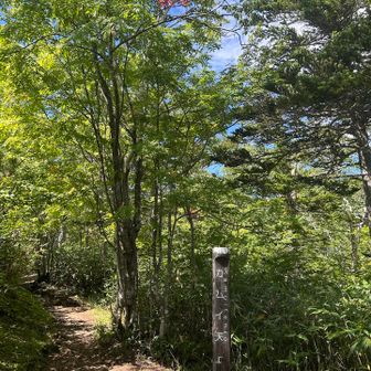 カムイ天上からも遠景にトムラウシ山が見えます