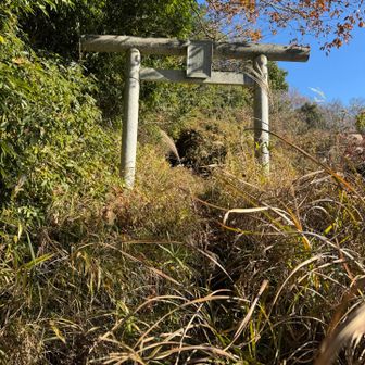 登山道割と整備されてるのにこの入り口付近だけ枯れ草でボサボサになってた、夏は歩けなそう(T ^ T)