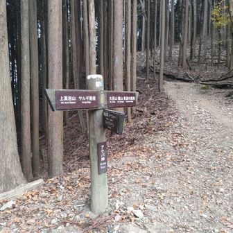 まだ、こんな感じ