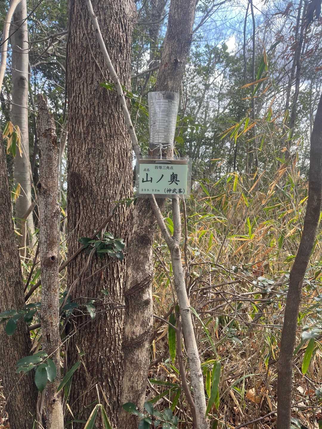 神武峯到着