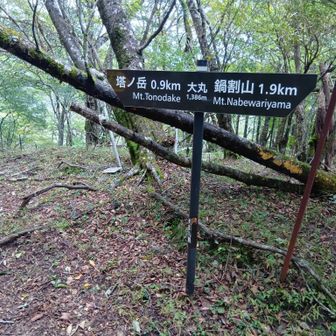 大丸：1386ｍ