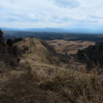 来よる来よる😝