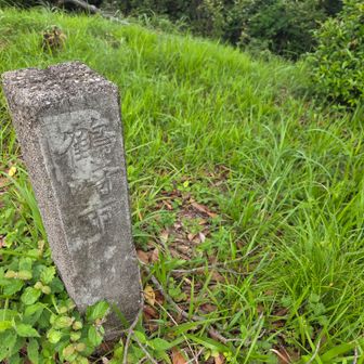 ん？鶴崎市？