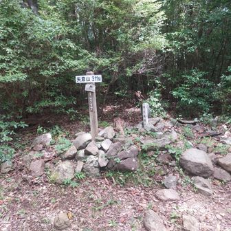 地味～な矢倉山
いつも新東名から見上げていた山で来れて嬉しい🤭