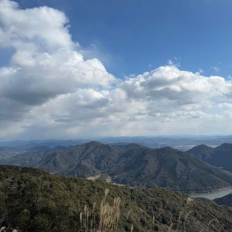 海側じゃない側、180度海、180度山！