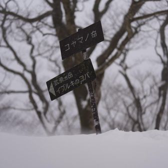 地吹雪まで…🥶
回復信じてゆっくり進む
