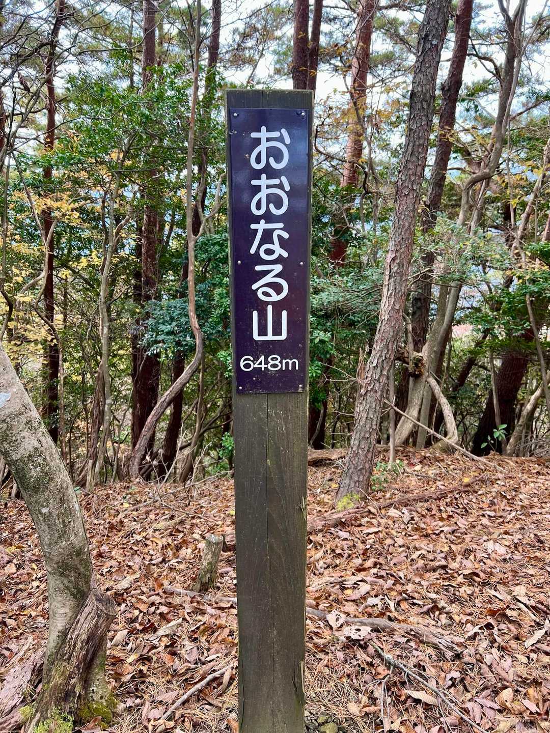 【おおなる山登頂 648m】