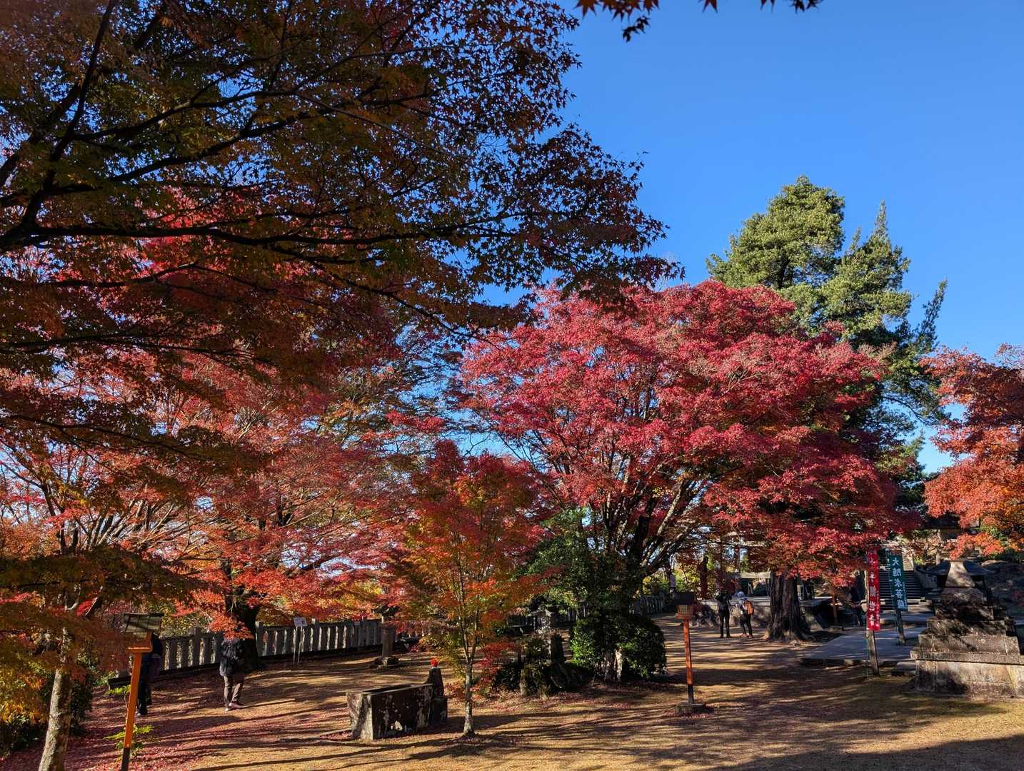 寂光院-継鹿尾山 往復コースの写真