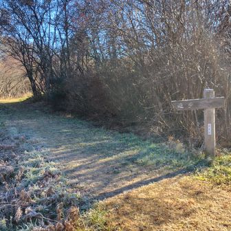 進むべき道がよくわからないのでルートを確認しながら進みます。