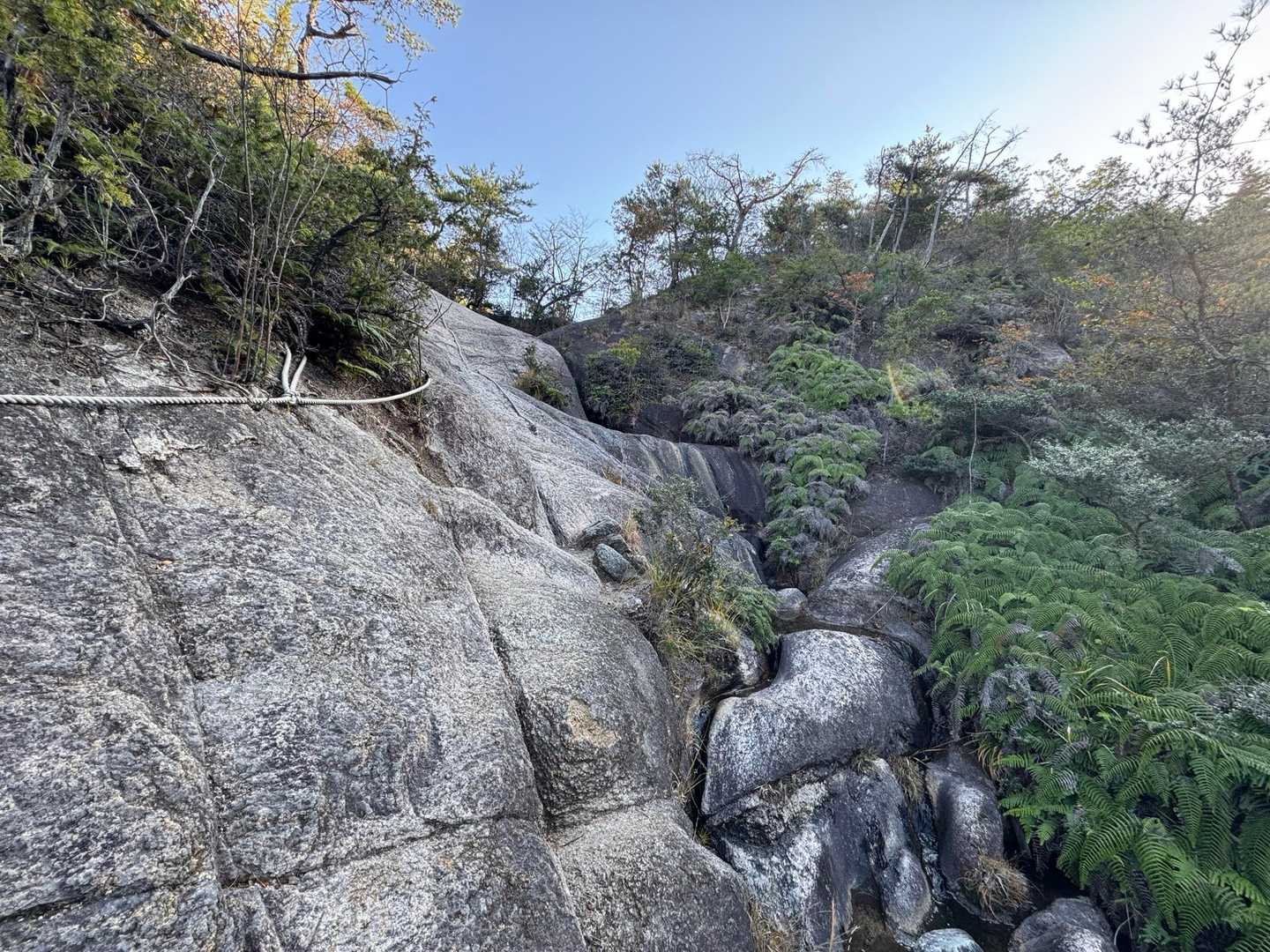 上桐生登山口-白石峰 周回コースの写真