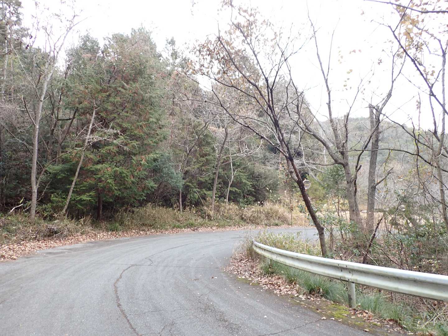 安心のロード歩き