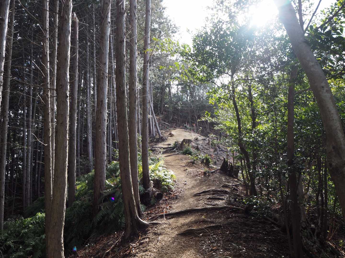 良い道✨✨✨