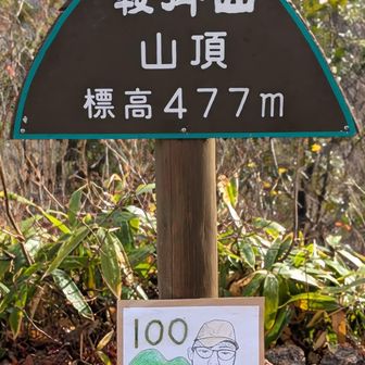 登山道整備、いつもありがとうございます💐