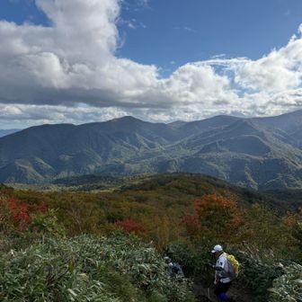 山々調べるの忘れた笑