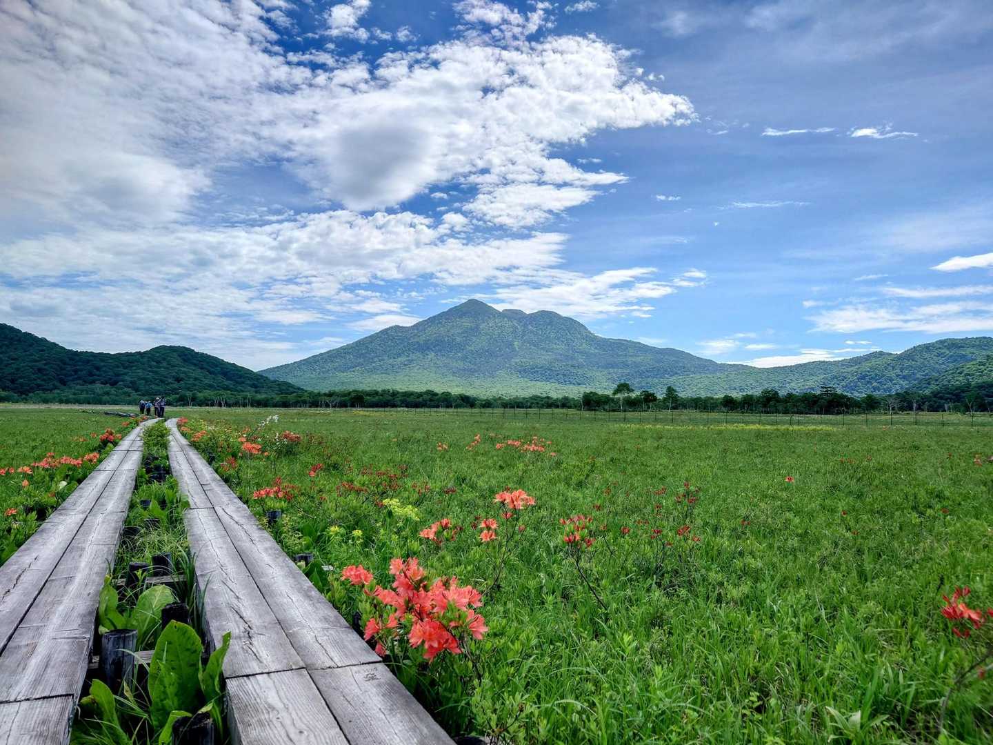 鳩待峠-尾瀬ヶ原 周回コースの写真