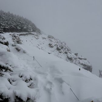登りは誰かが付けてくれたスノーシューの軌跡を頼りに