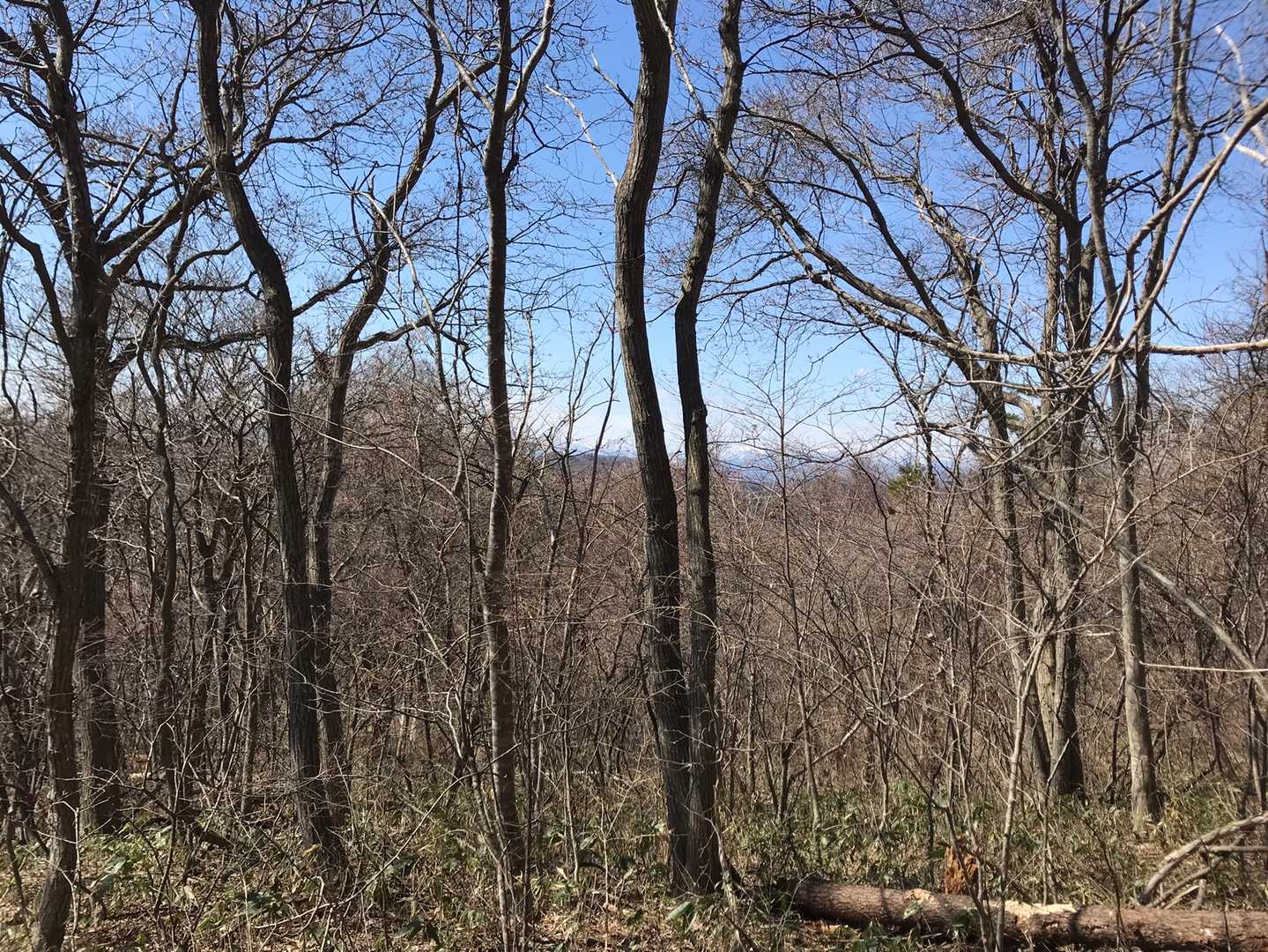 岩手山方向