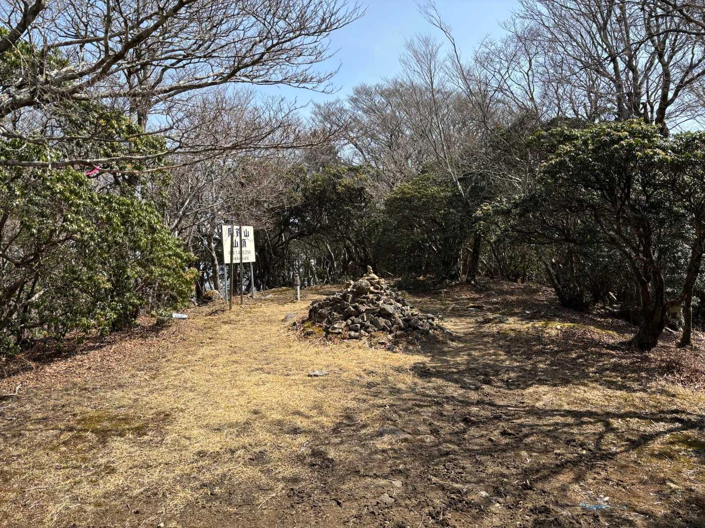 山頂はこんな感じ