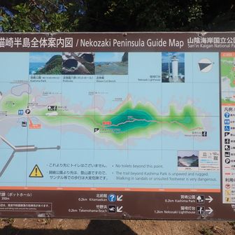 ここは迷うことは無いでしょう。