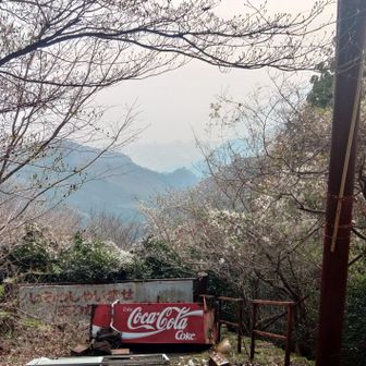 今からロープウェイが参ります🚠