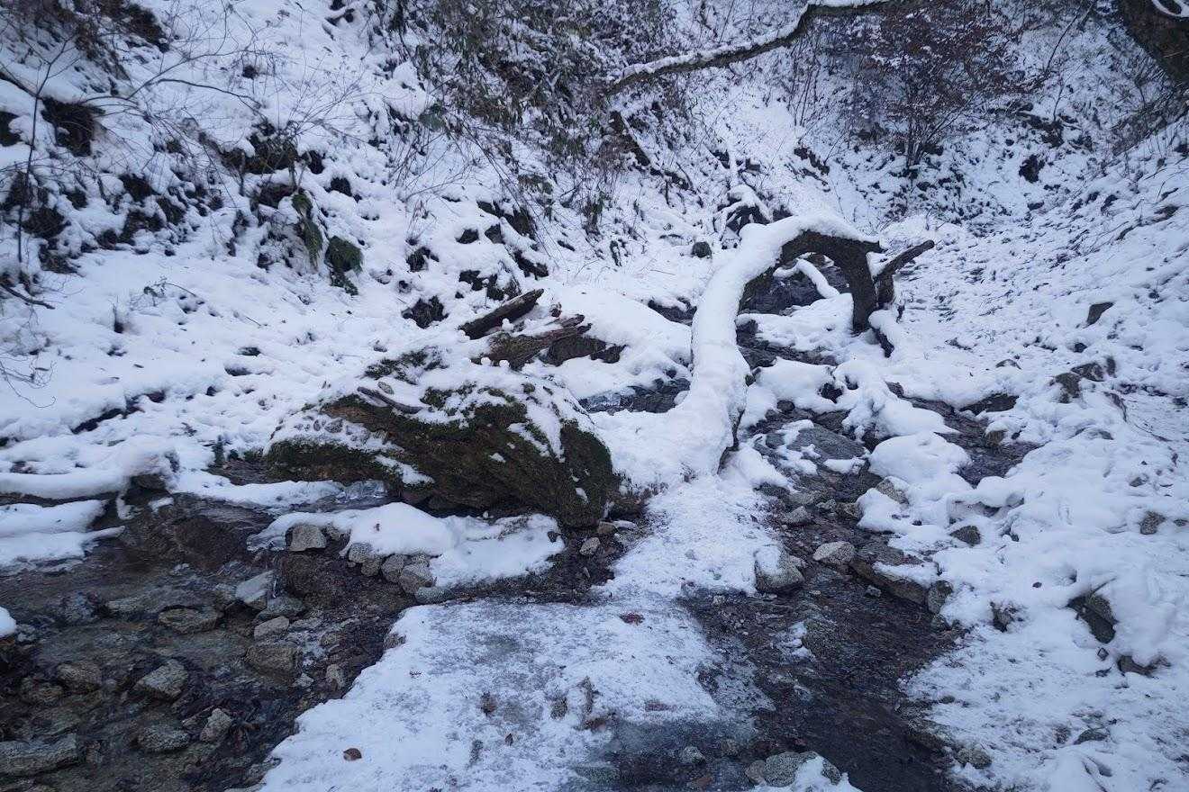 水越峠-金剛山 往復コースの写真