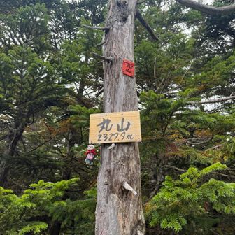 眺望はないけど、綺麗な緑に囲まれたピークでした✨️