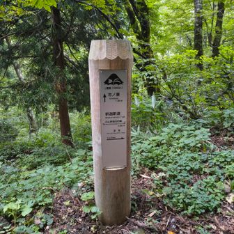 市ノ瀬までもう少し