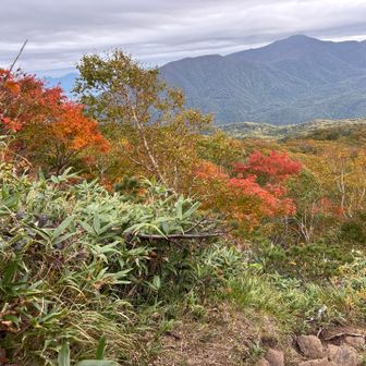㊴ 下りの展望②
🍁 赤・オレンジ・緑が混ざった秋らしい景色です。登りでは急いでいて見落としていた景色かもしれません📸
