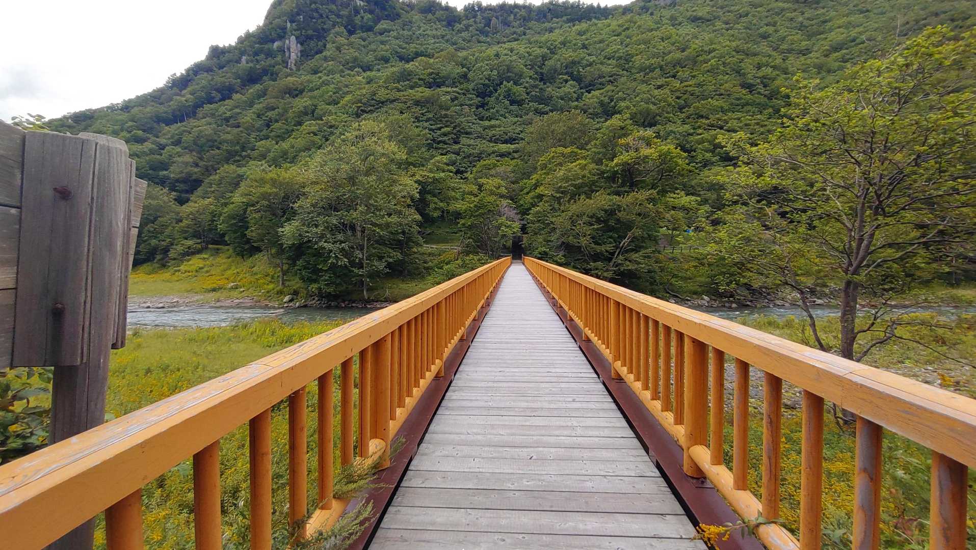 朝陽山 往復コースの写真