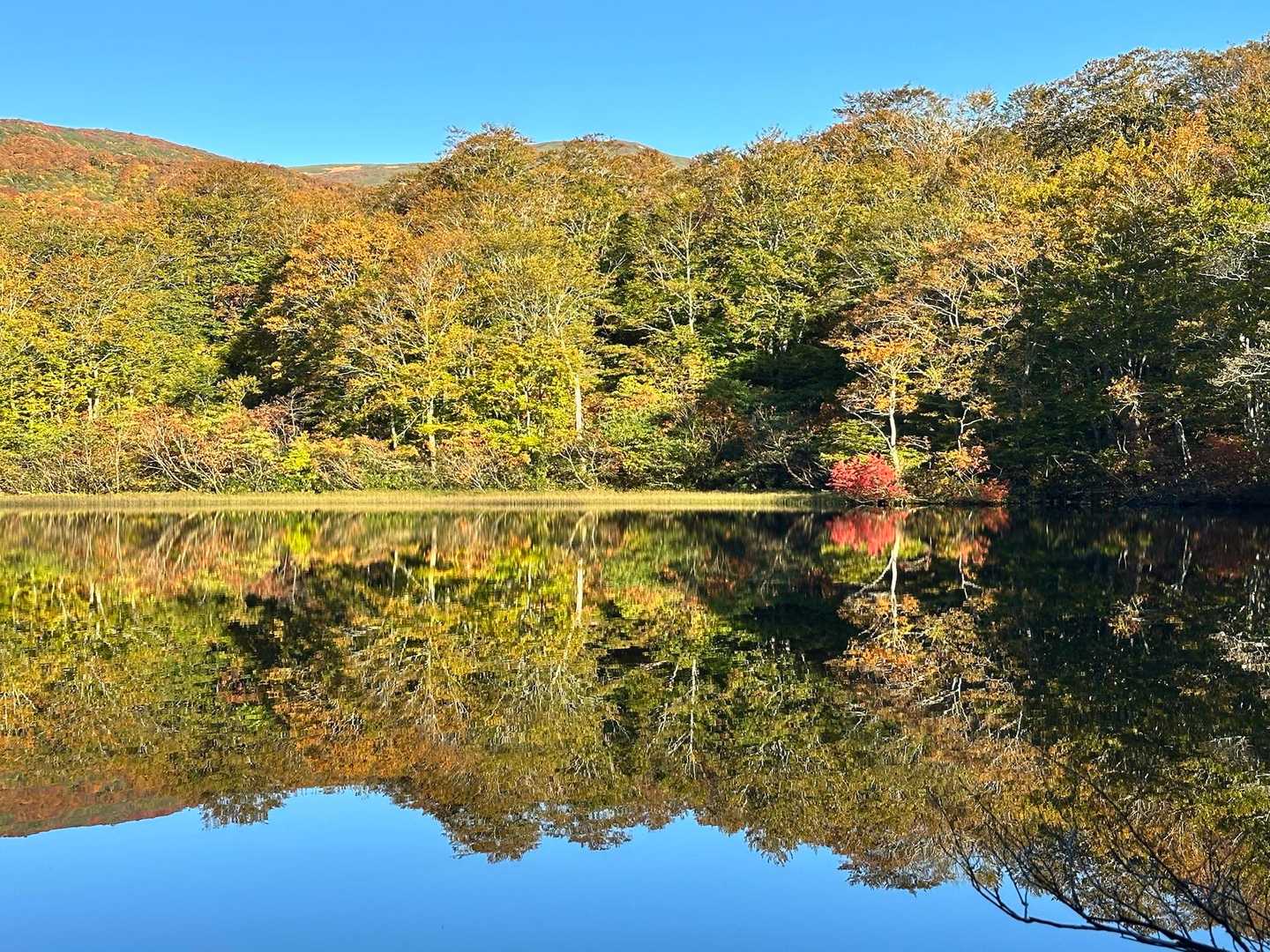 中沼登山口-焼石岳 往復コース
の写真