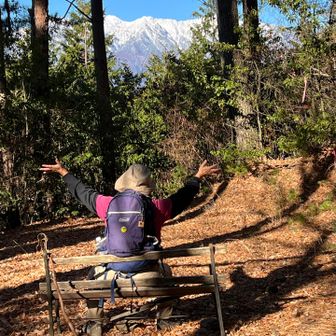 ベンチありました。
ちょっとたわみます😅