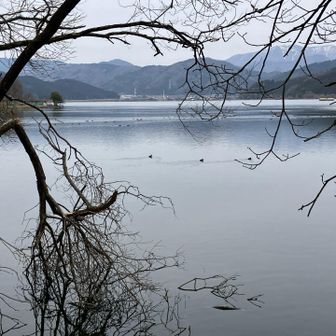 なかなか🦆がうまく撮れない😆