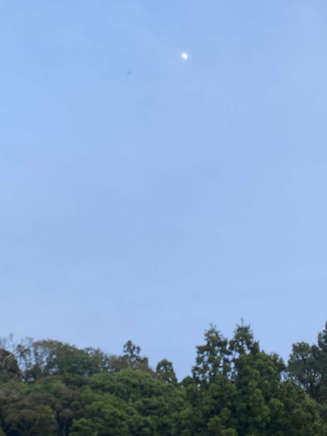 月が出てました🌖
