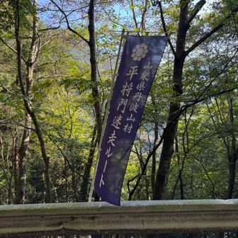 礼を失するとマジで怖い平将門さま。九月の長雨はこの方のお怒りとか？
