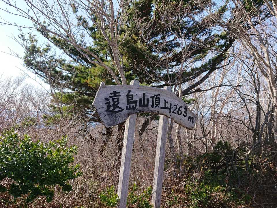 遠島山山頂。
これとは別に、またしても藪山登山家集団の看板が…。 